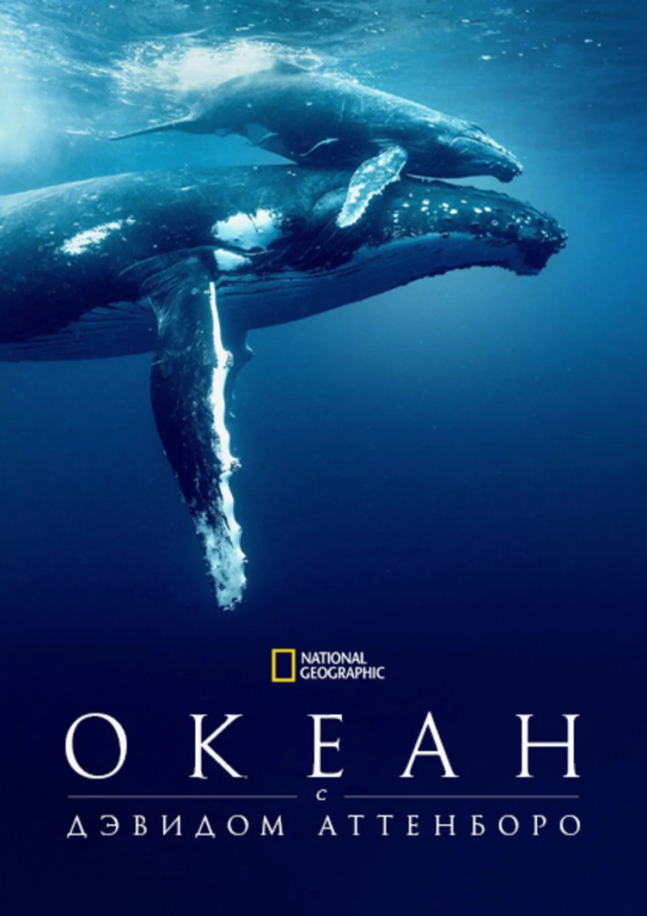 Дэвид Аттенборо: Океан